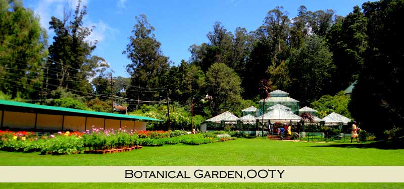 Botanical Garden OOTY