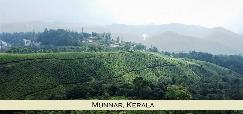 Munnar Kerala