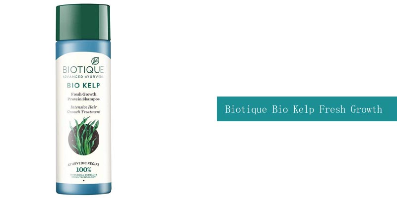 Biotique Bio Kelp Shampoo