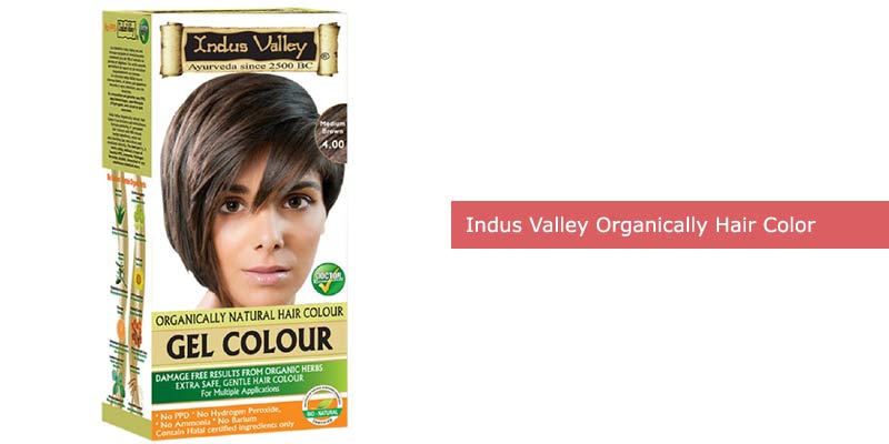  Indus Valley Couleur de cheveux 