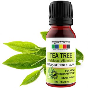 Organix-Mantra-Tea-Tree-Essential-Oil