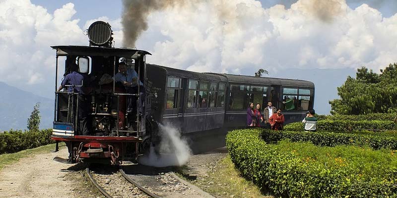 Darjeeling Summer Holidays