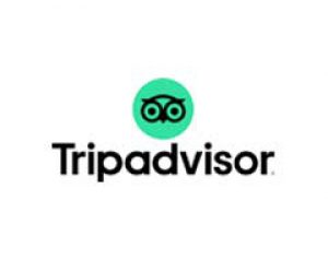 tripadvisor logo