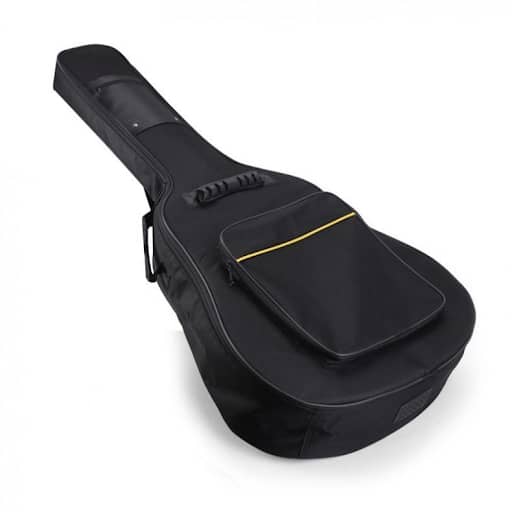 guitar bag