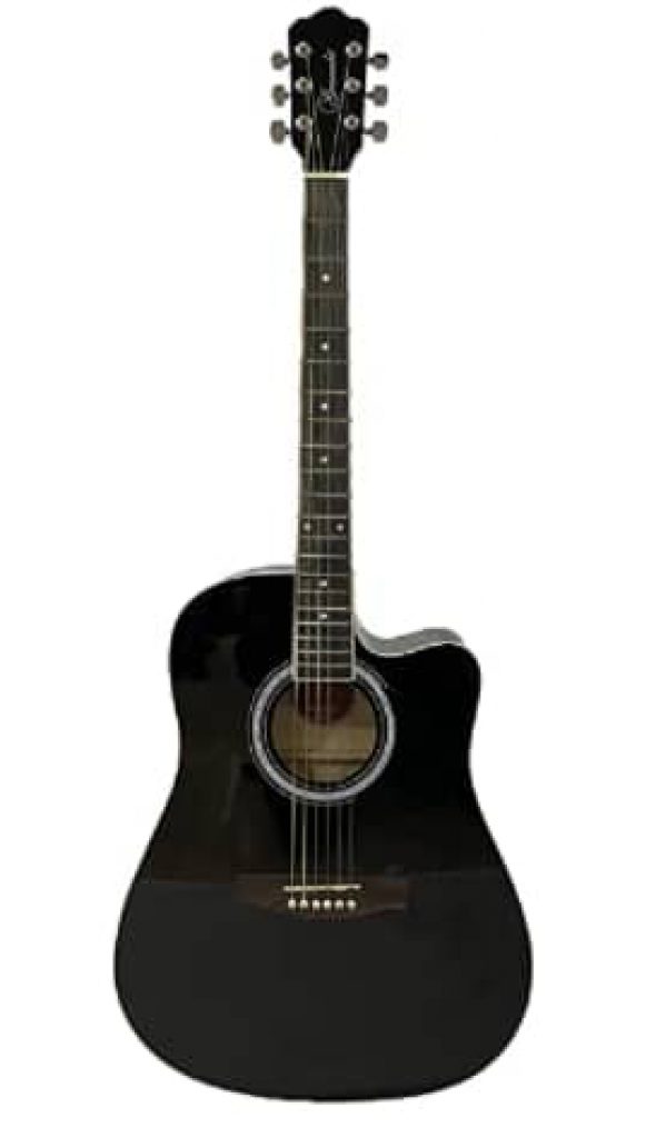 15 Best Guitar Brands In India