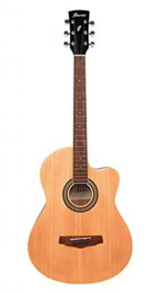 15 Best Guitar Brands In India GrabOn