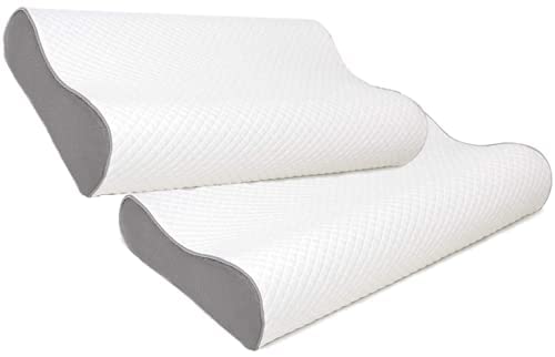 Mojorest Memory Foam Pillow