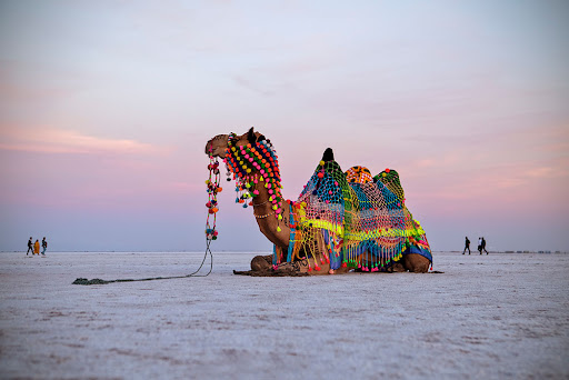 Rann of Kutch